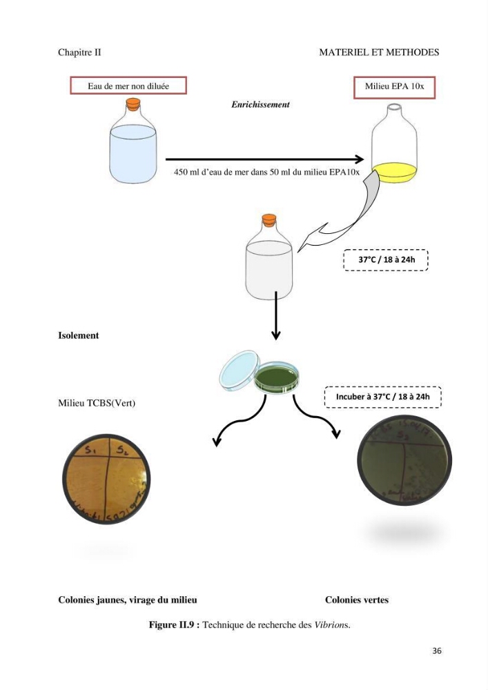 Suivi de la qualité microbiologique et physicochimique des eaux de baignade.
