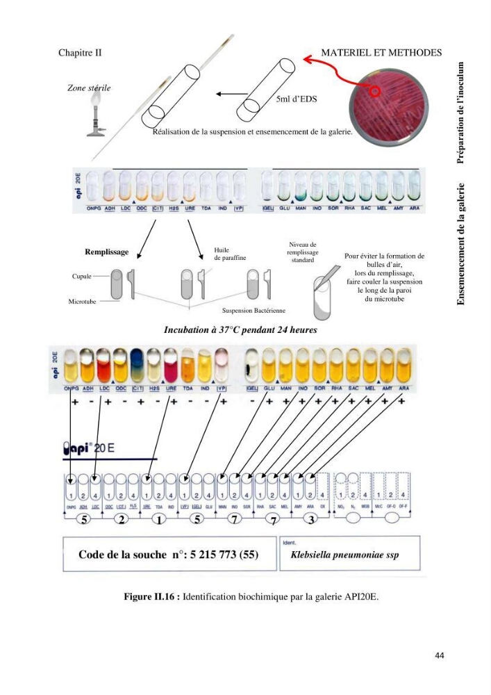 Suivi de la qualité microbiologique et physicochimique des eaux de baignade.