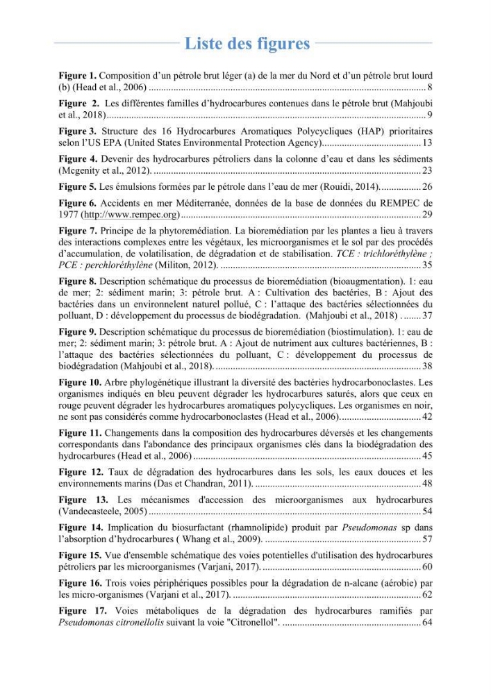 Isolement et caractérisation des bactéries marines dégradant les différentes fractions du pétrole