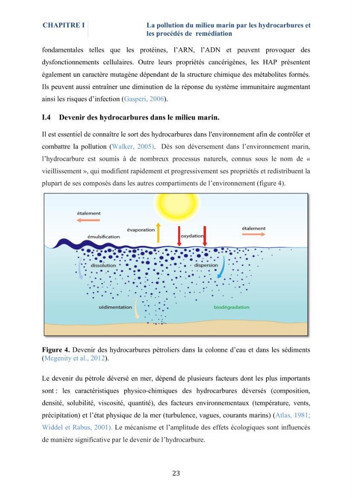 Isolement et caractérisation des bactéries marines dégradant les différentes fractions du pétrole