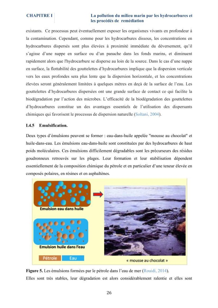 Isolement et caractérisation des bactéries marines dégradant les différentes fractions du pétrole