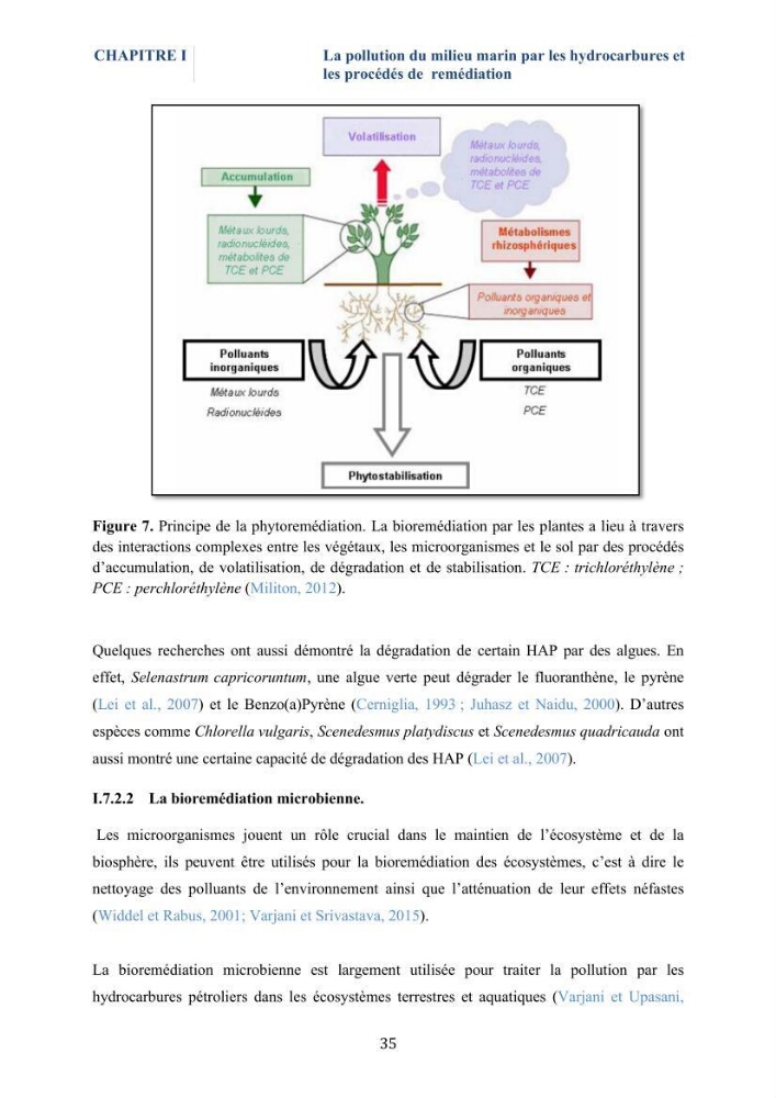 Isolement et caractérisation des bactéries marines dégradant les différentes fractions du pétrole