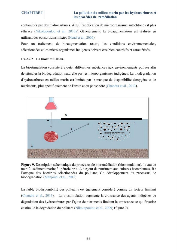 Isolement et caractérisation des bactéries marines dégradant les différentes fractions du pétrole