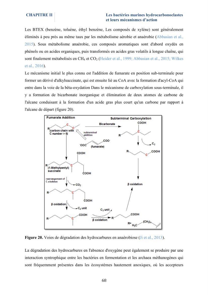 Isolement et caractérisation des bactéries marines dégradant les différentes fractions du pétrole