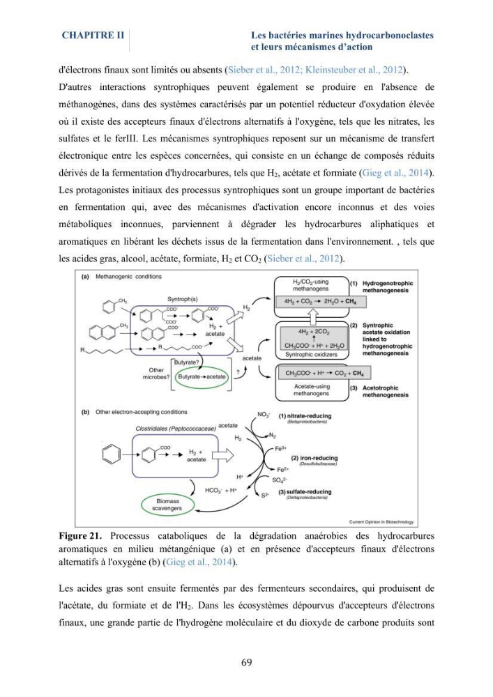 Isolement et caractérisation des bactéries marines dégradant les différentes fractions du pétrole