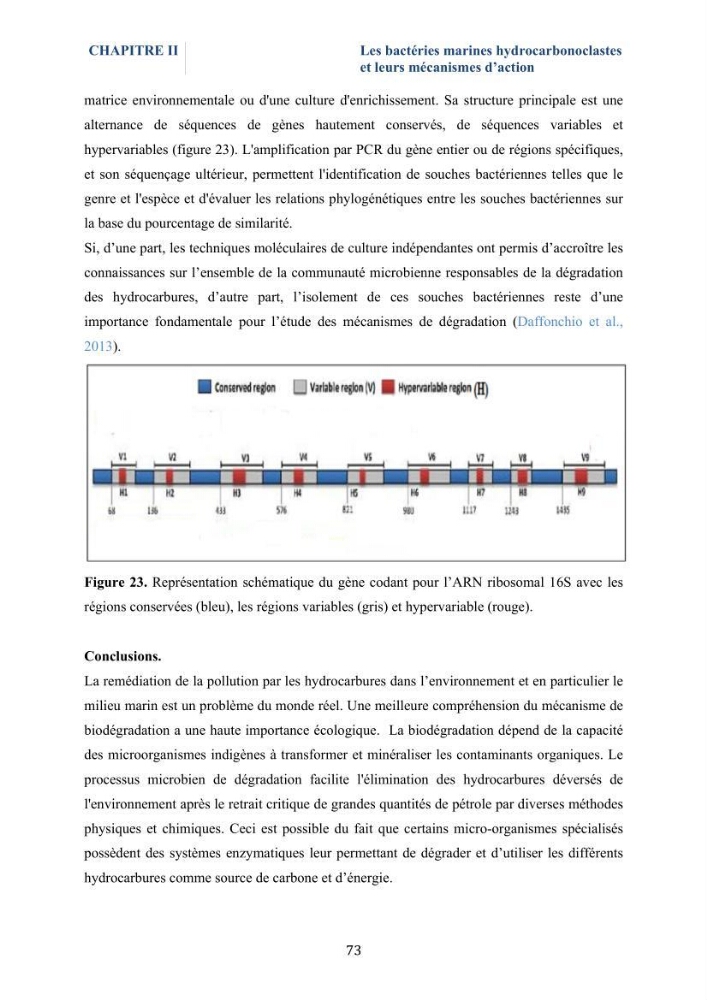 Isolement et caractérisation des bactéries marines dégradant les différentes fractions du pétrole