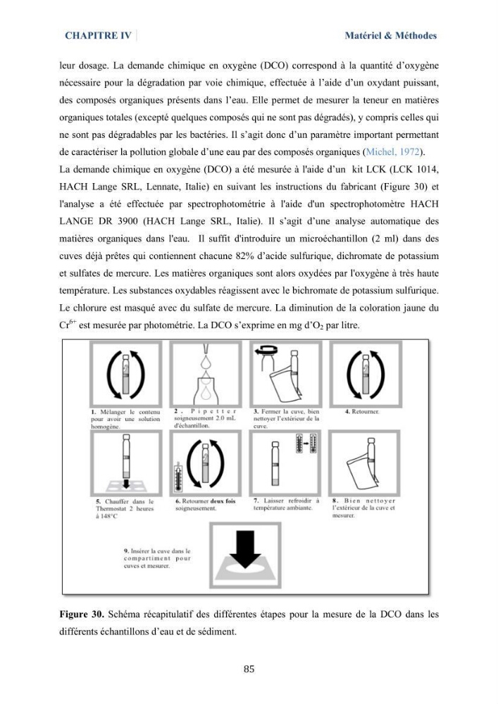 Isolement et caractérisation des bactéries marines dégradant les différentes fractions du pétrole