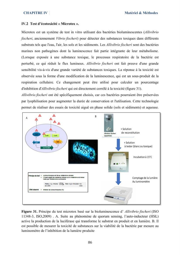 Isolement et caractérisation des bactéries marines dégradant les différentes fractions du pétrole