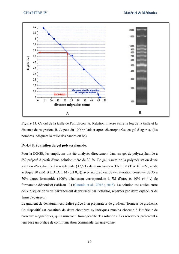Isolement et caractérisation des bactéries marines dégradant les différentes fractions du pétrole