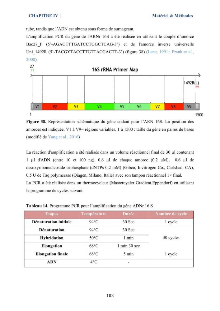 Isolement et caractérisation des bactéries marines dégradant les différentes fractions du pétrole
