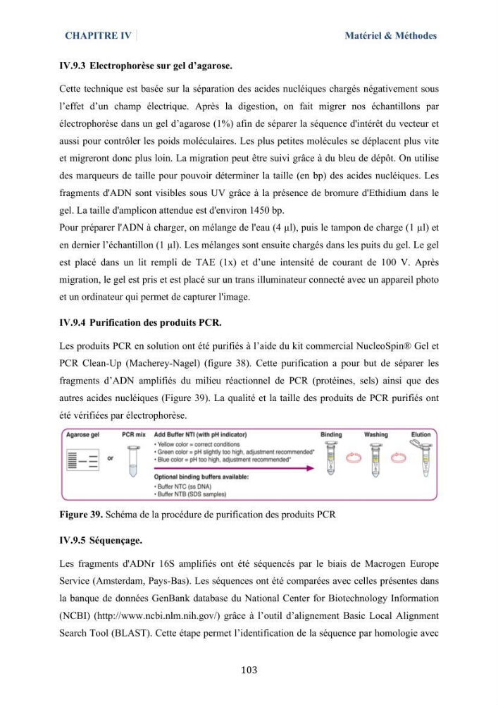 Isolement et caractérisation des bactéries marines dégradant les différentes fractions du pétrole