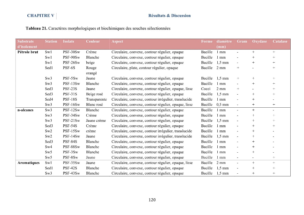 Isolement et caractérisation des bactéries marines dégradant les différentes fractions du pétrole