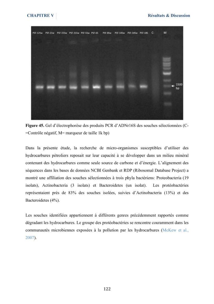 Isolement et caractérisation des bactéries marines dégradant les différentes fractions du pétrole