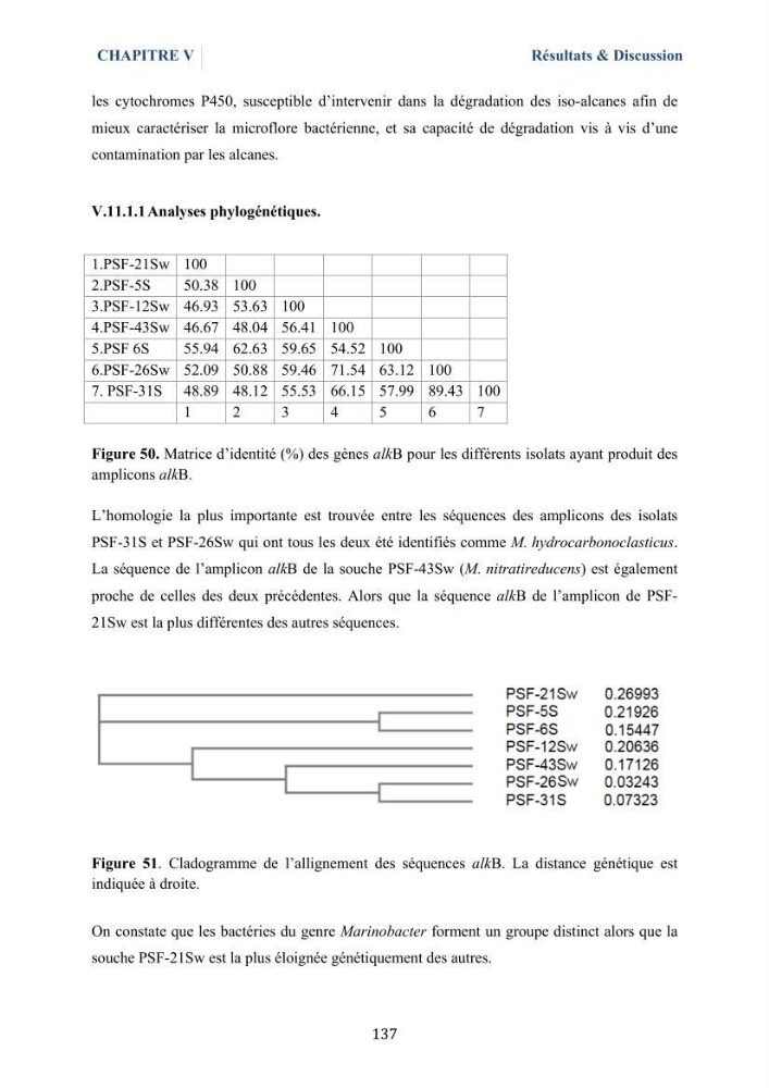 Isolement et caractérisation des bactéries marines dégradant les différentes fractions du pétrole