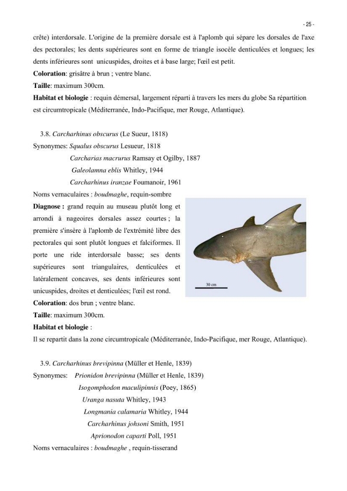 Les Sélaciens de la côte algérienne, biosystématique des requins et les raies