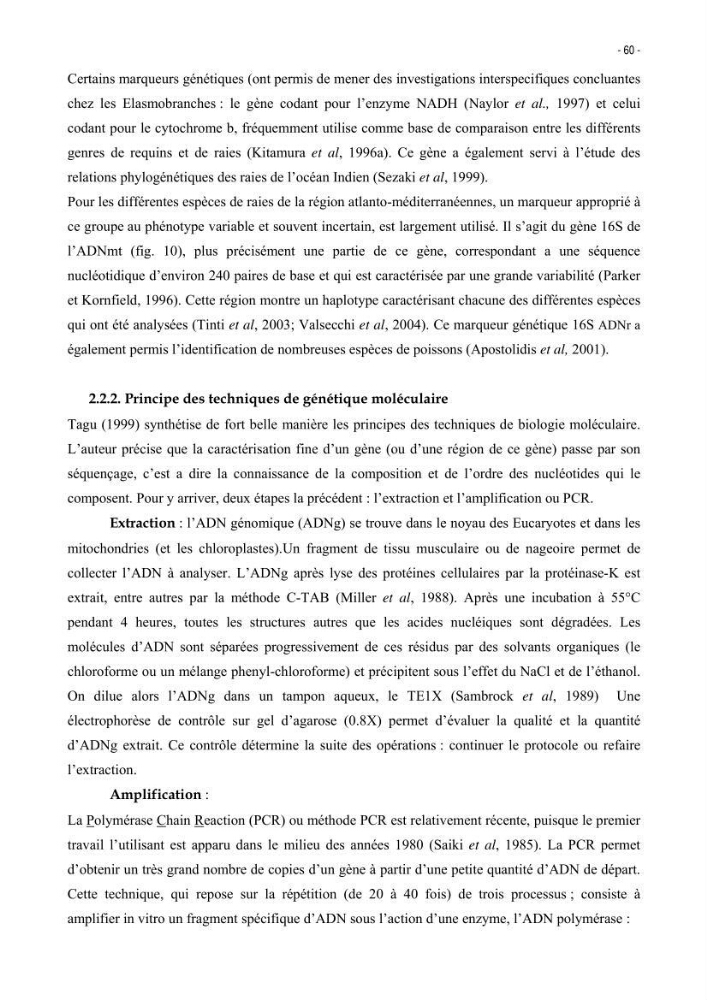 Les Sélaciens de la côte algérienne, biosystématique des requins et les raies