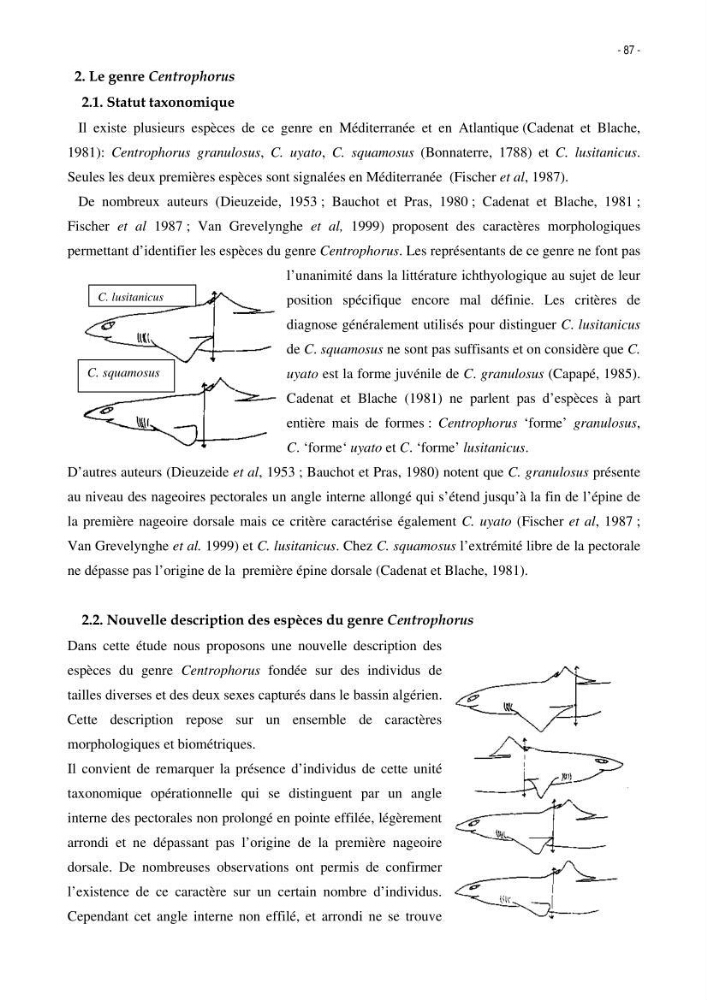 Les Sélaciens de la côte algérienne, biosystématique des requins et les raies