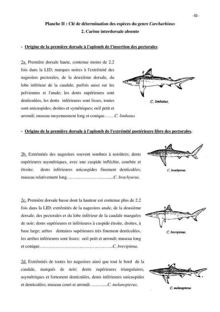 Les Sélaciens de la côte algérienne, biosystématique des requins et les raies