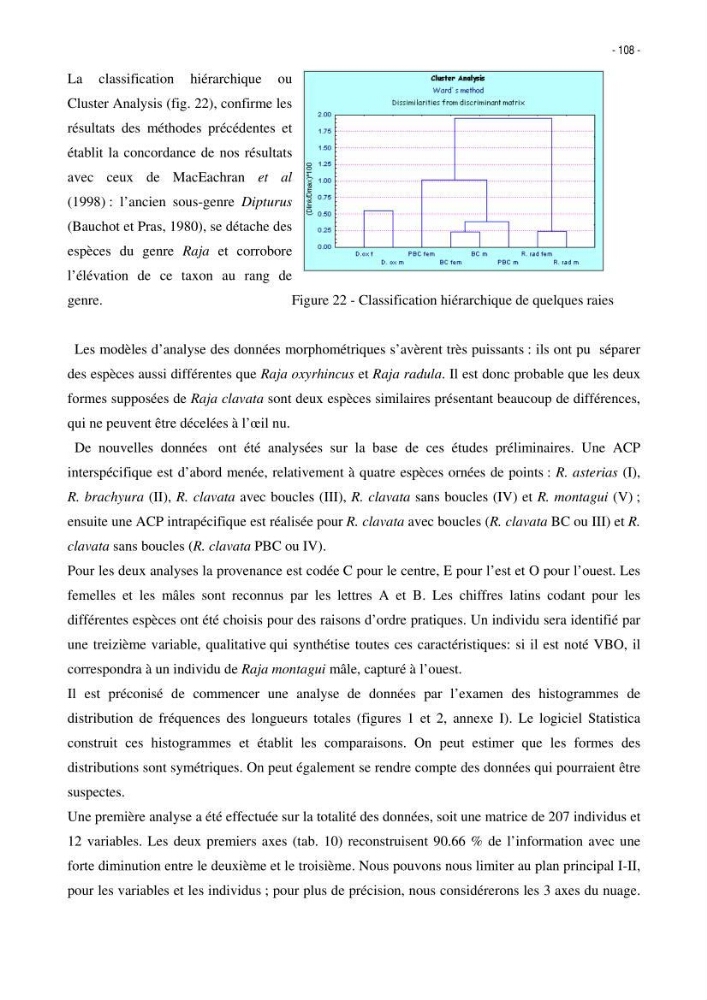 Les Sélaciens de la côte algérienne, biosystématique des requins et les raies