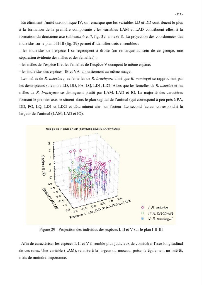 Les Sélaciens de la côte algérienne, biosystématique des requins et les raies