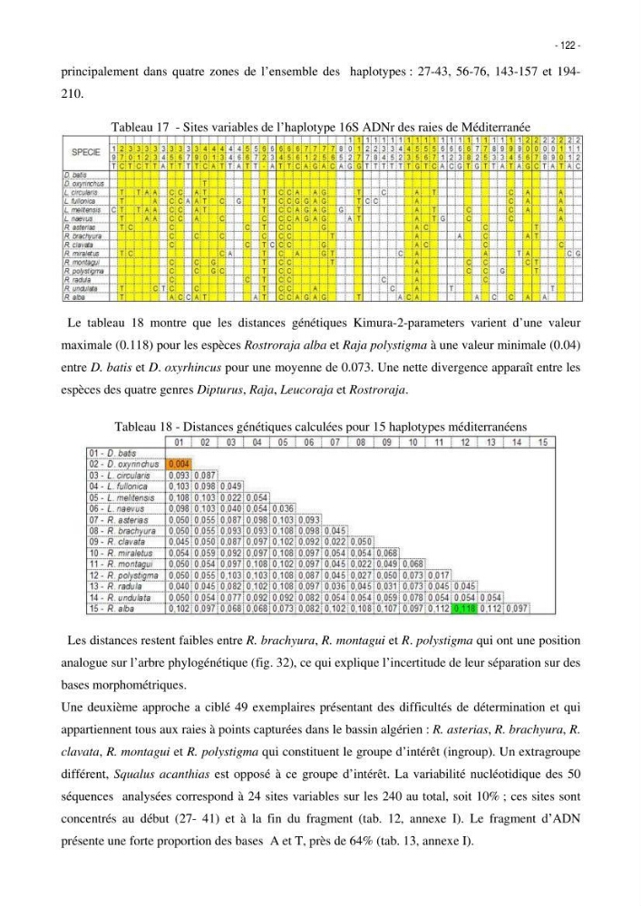 Les Sélaciens de la côte algérienne, biosystématique des requins et les raies