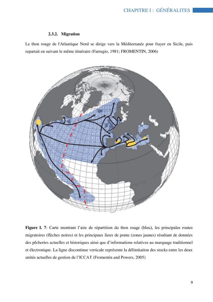 Analyse spatiale de la distribution du thon rouge Thunnus thynnus (Linnaeus, 1758) en interaction avec les facteurs environnementaux à l’aide de système d’information géographique (SIG) dans le bassin Algérien