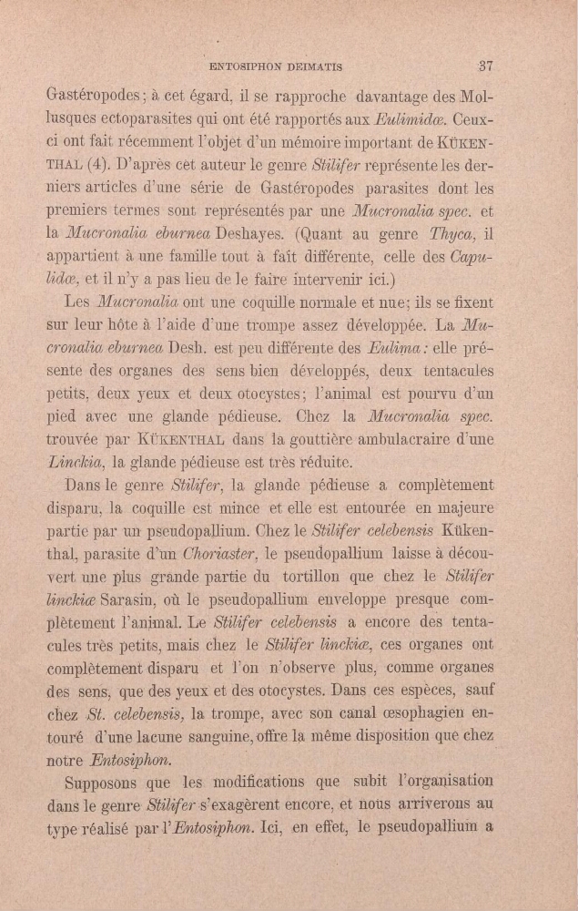 uCronçtliæsp‘ea et
j
ebaä%ça DeShàyeà (Quant
“génre
'
'Ï
_
'
.
appartient à,une fanéout afa1t 'c1î’éyènte, celle des Udpu—
iln’y
—
'
_,
;
_
Ÿ '
ethue; ils se
xent
:
'
‘Sur_leùrhÔte à
d_’ù1ïe ti“0ñi_p€ assez dévelomjéè;fLa JMa—
des Euli7_na : ellè pré—'
‘
_j
-f
__
‘
deux tetaçu—I‘es
est i)0_u-1‘Ÿ11 d’un.
àvè€ ;uné
la fîl@æ»æ…æd
par
dans“ la
d’ime
,
"
Ï
_.
'
.
gerè, Stilifeag la glandé
5 "1‘jédîèüsé & _coù1iaÏètéiè
';
'
_
coquille '
jéf eue '-‘èSt ‘-ètÔülÏéè
maj eure“
_
thaL Dammed’unOhonasteq,lepseudopamm 1aîsse.ä£déôoù—
/Velt uneplus gl&nd€pa1t1edu
qué chezle Stdsz
;
chkzæSmasm,0u I‘épseudopamm enveloppepœsque Com—.
aifeëôre} dîëfs tenta—'— _: ?;
?
-
êù1_és”tfës=
Qilüf
_
completementdlspmu *iétÏ l’on
cQ1mn}ëç ôi‘g
dq de}si >tdtstDp'—f
che……debmg la
en
*ïË
tomedunelacunesangumeofeîamemed1spomtmnqwchez
notreEntoszphon
;;
Supposonsquelesmod1catlons quesub1t 1mgamsatmn Î
danslegenœ8ülfæsexage1emæcoæetn0usaxrwemnsau
typeœahsepmlEt0æpiICIelïeffetlepseudôpallma
> =
°
![