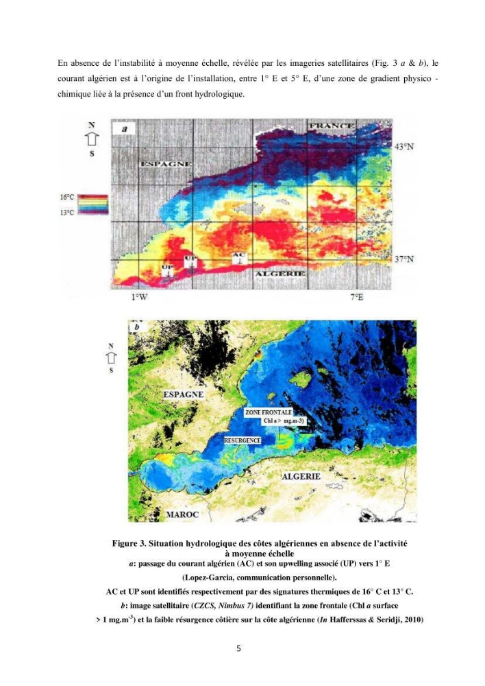 Contribution à l\'étude des peuplements macrozooplanctoniques de la côte Algérienne (secteur occidental et central) entre 1° W et 3° E
