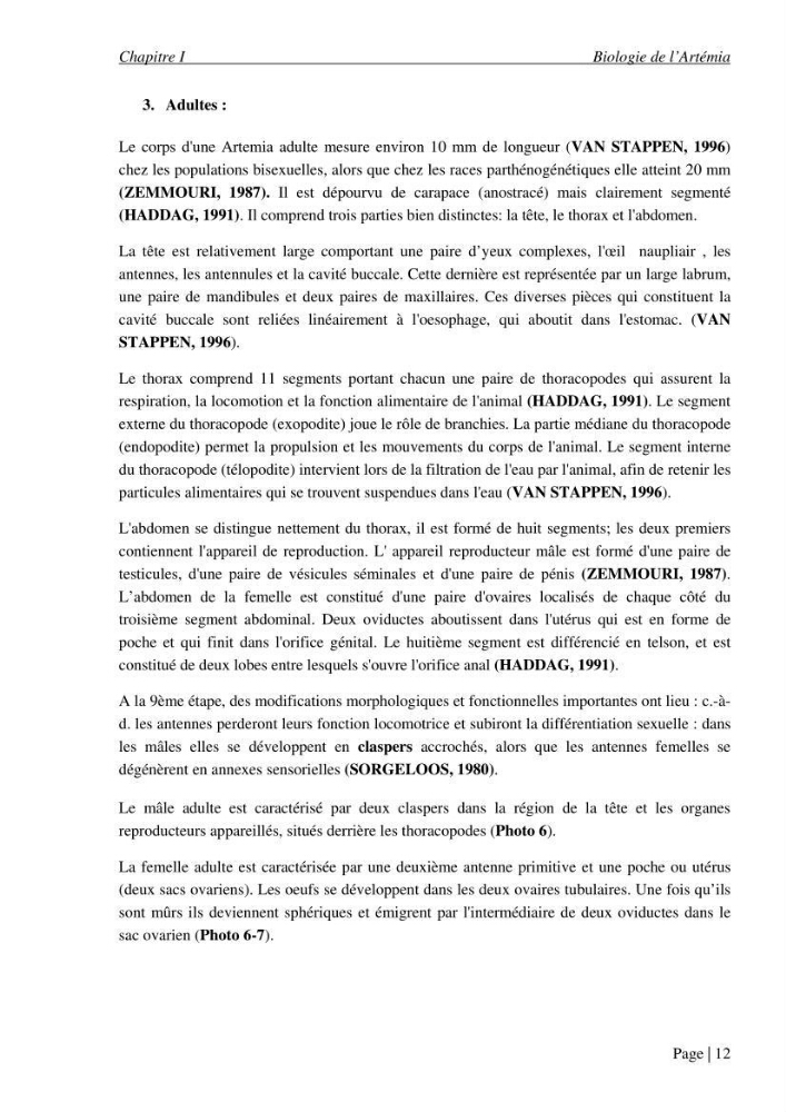 Etude biométrique de l\'Artémia (Artemia Salina) du Chott Marouane (wilaya d\'El Oued) et possibilités d\'exploitation des cystes
