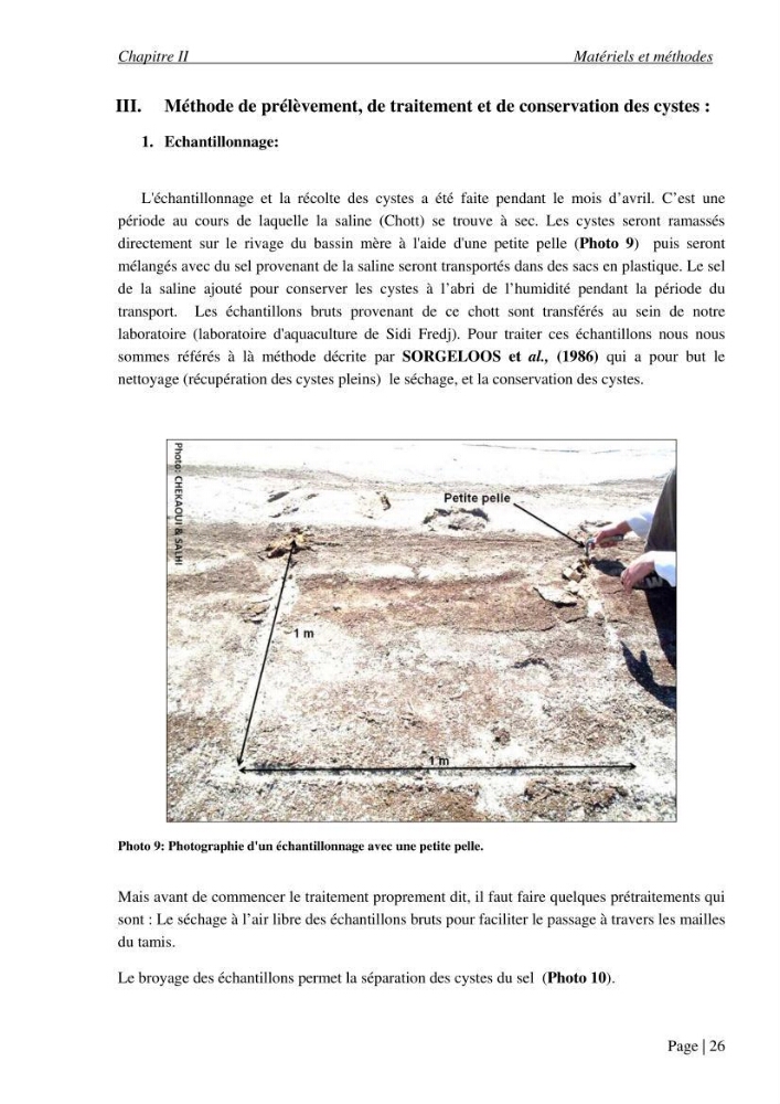 Etude biométrique de l\'Artémia (Artemia Salina) du Chott Marouane (wilaya d\'El Oued) et possibilités d\'exploitation des cystes
