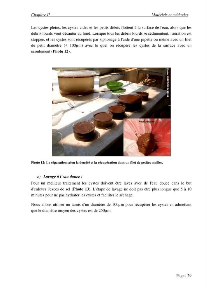 Etude biométrique de l\'Artémia (Artemia Salina) du Chott Marouane (wilaya d\'El Oued) et possibilités d\'exploitation des cystes