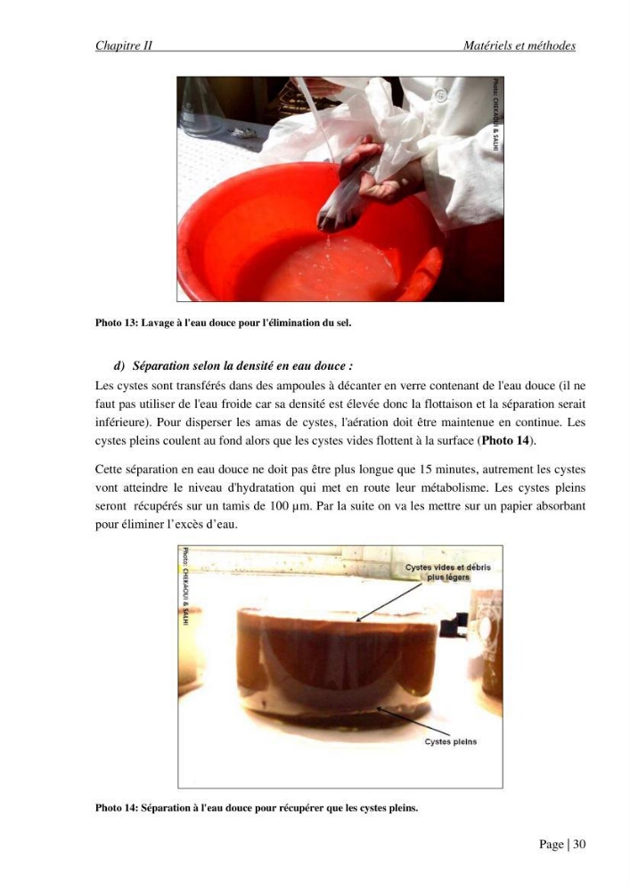 Etude biométrique de l\'Artémia (Artemia Salina) du Chott Marouane (wilaya d\'El Oued) et possibilités d\'exploitation des cystes