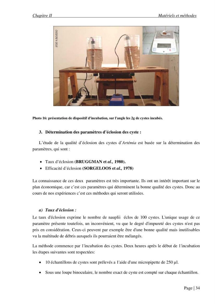 Etude biométrique de l\'Artémia (Artemia Salina) du Chott Marouane (wilaya d\'El Oued) et possibilités d\'exploitation des cystes