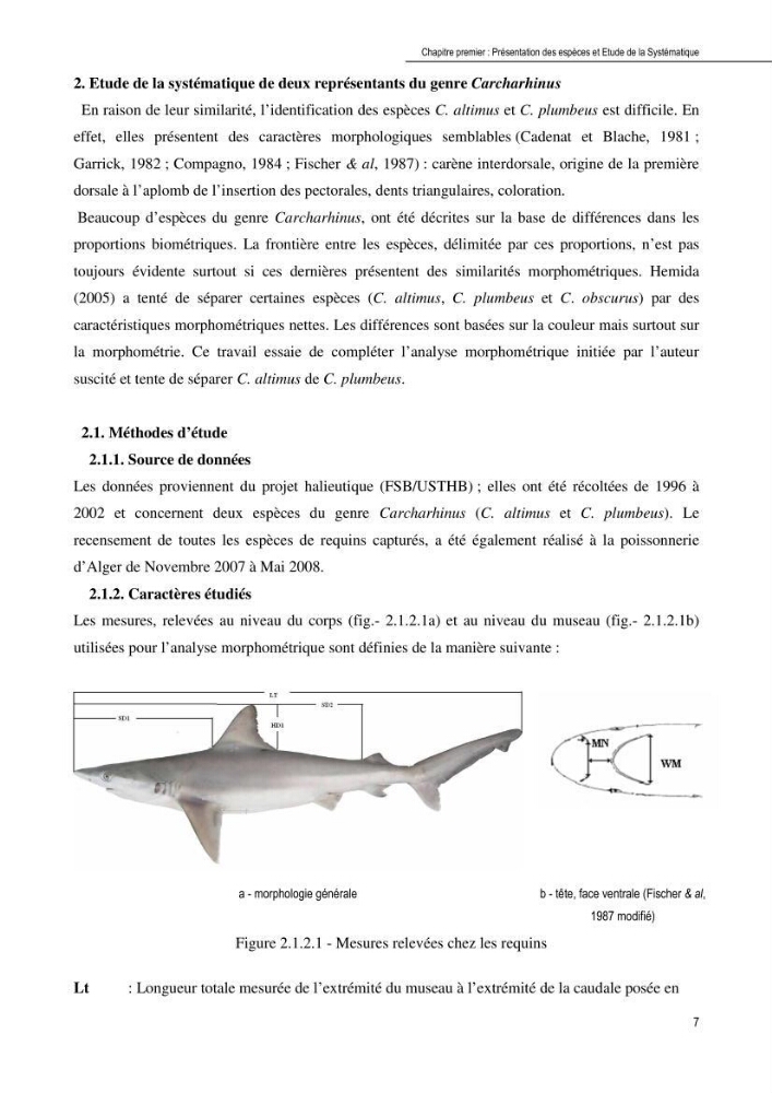 Contribution à l\'étude de la systématique et de l\'exploitation de quelques requins pélagiques du bassin Algérien: