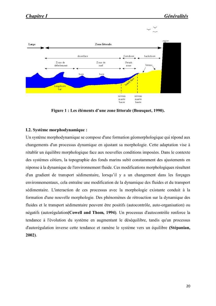 Comportement des formations géologiques de la zone côtière d\'El Marsa ( Alger) vis-a vis l\'érosion marine