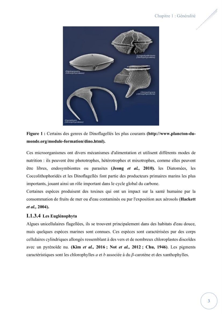 Contribution à l’étude du phytoplancton potentiellement toxique et/ ou nuisible au niveau d’une ferme conchylicole « CULTMARE » (Tipaza):