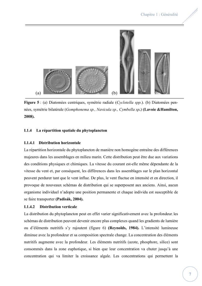 Contribution à l’étude du phytoplancton potentiellement toxique et/ ou nuisible au niveau d’une ferme conchylicole « CULTMARE » (Tipaza):