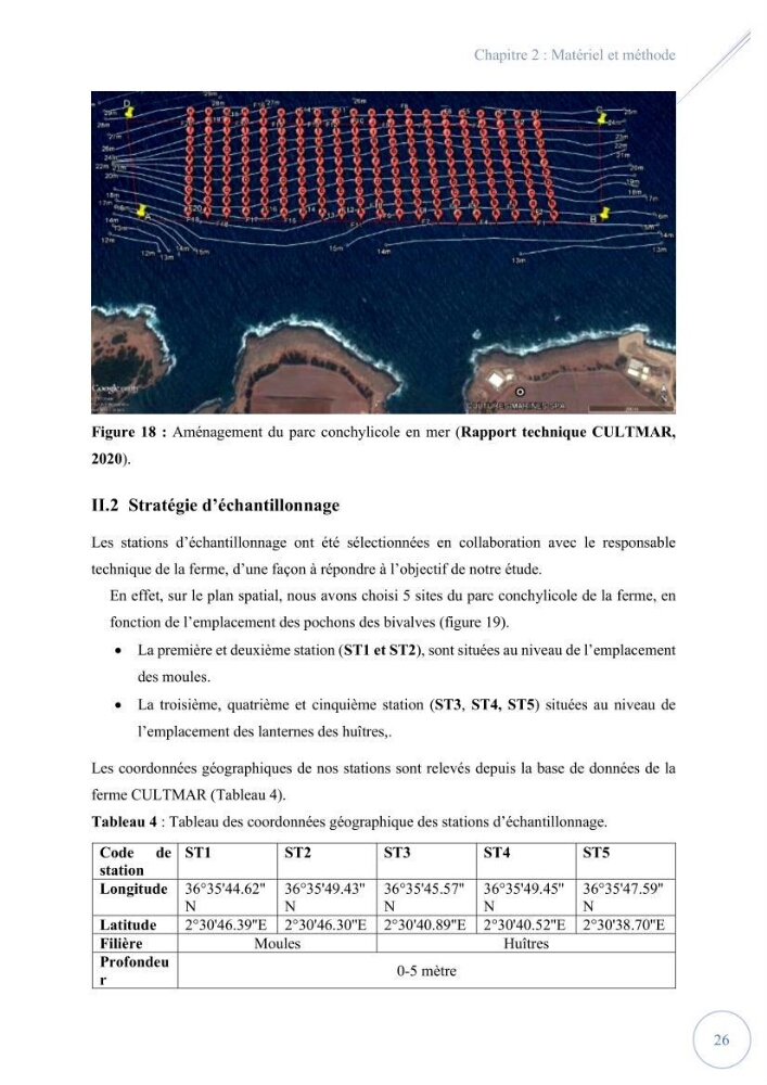 Contribution à l’étude du phytoplancton potentiellement toxique et/ ou nuisible au niveau d’une ferme conchylicole « CULTMARE » (Tipaza):