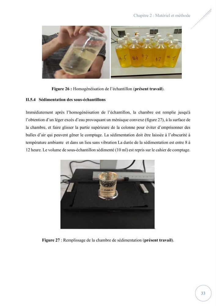 Contribution à l’étude du phytoplancton potentiellement toxique et/ ou nuisible au niveau d’une ferme conchylicole « CULTMARE » (Tipaza):