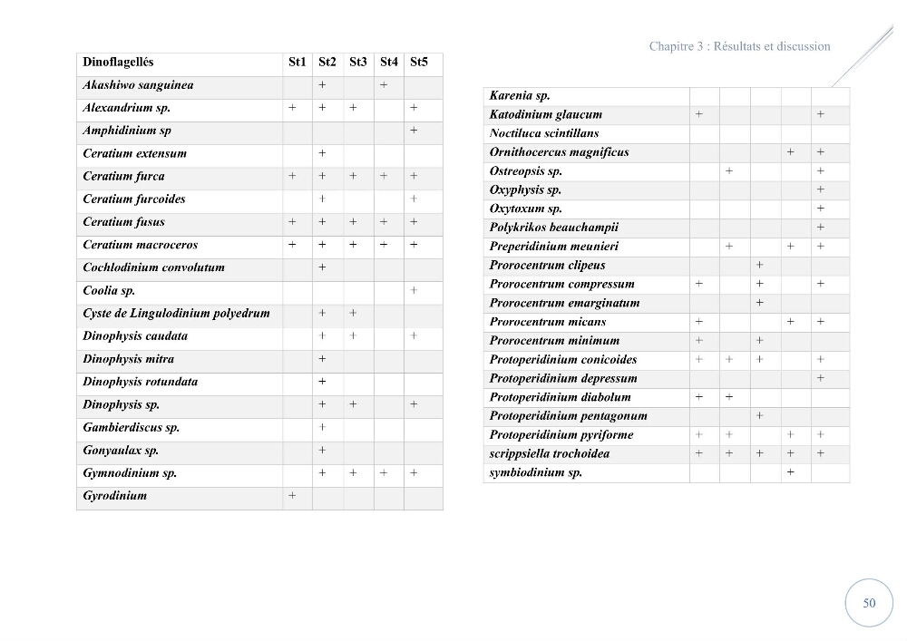 Contribution à l’étude du phytoplancton potentiellement toxique et/ ou nuisible au niveau d’une ferme conchylicole « CULTMARE » (Tipaza):