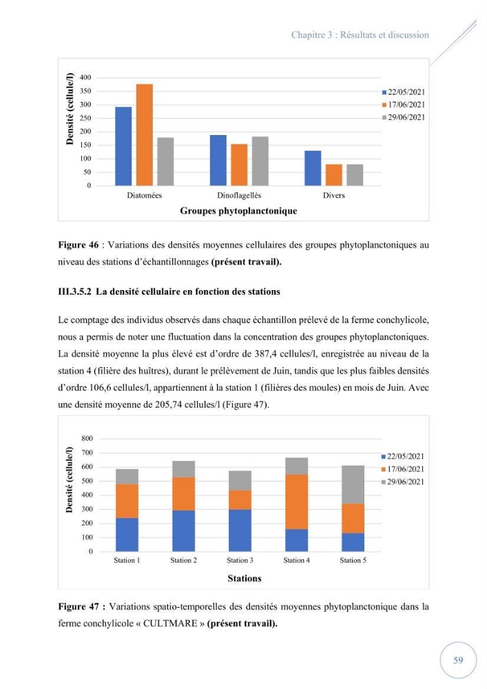 Contribution à l’étude du phytoplancton potentiellement toxique et/ ou nuisible au niveau d’une ferme conchylicole « CULTMARE » (Tipaza):