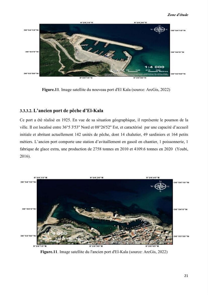Estimation de la production primaire nécessaire pour soutenir la pêche durable en Algérie