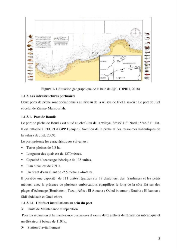 Contribution à l’étude de la croissance et de l’exploitation de l’espèce « Mullus barbatus» dans la baie de Jijel.: