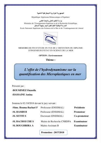 L’effet de l’hydrodynamisme sur la quantification des Microplastiques en mer: L’effet de l’hydrodynamisme sur la quantification des Microplastiques en mer: