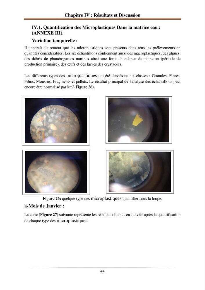 L’effet de l’hydrodynamisme sur la quantification des Microplastiques en mer: