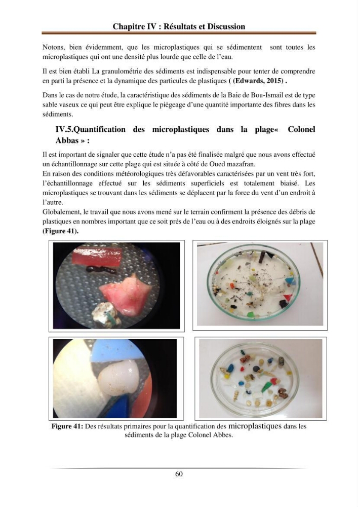 L’effet de l’hydrodynamisme sur la quantification des Microplastiques en mer:
