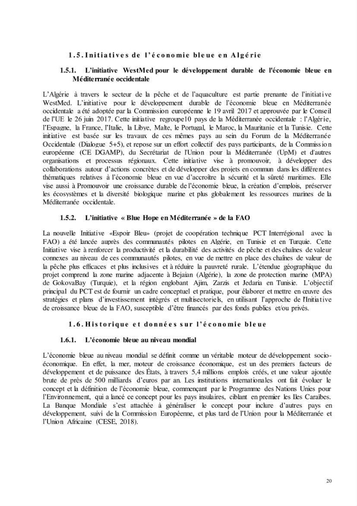 Analyse du cadre de l\'économie bleue et de la planification de l\'espace maritime en Algérie :cas de la zone marine et côtière de la wilaya d\'Alger