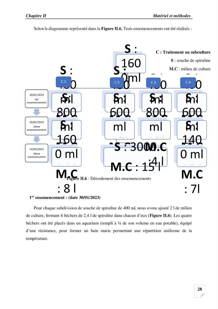 Production, analyse et valorisation de microalgues (Spiruline)