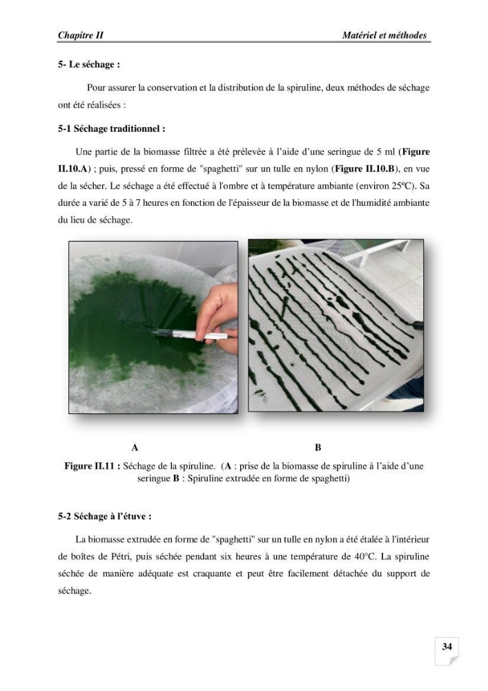 Production, analyse et valorisation de microalgues (Spiruline)