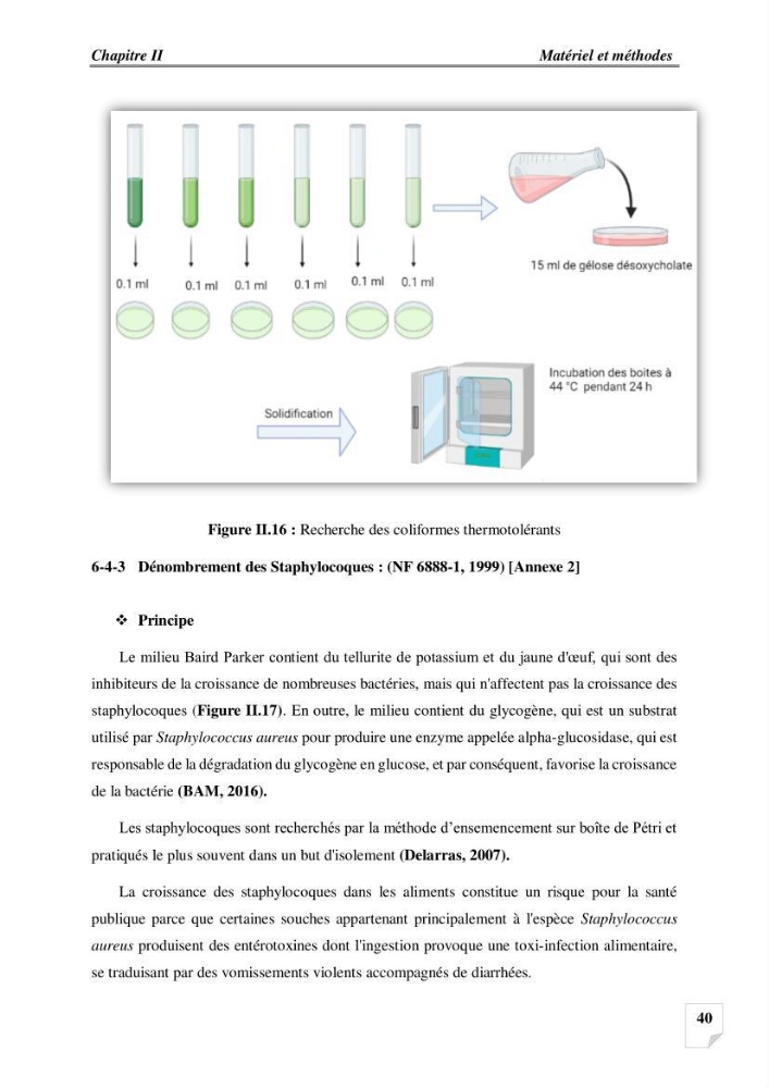 Production, analyse et valorisation de microalgues (Spiruline)